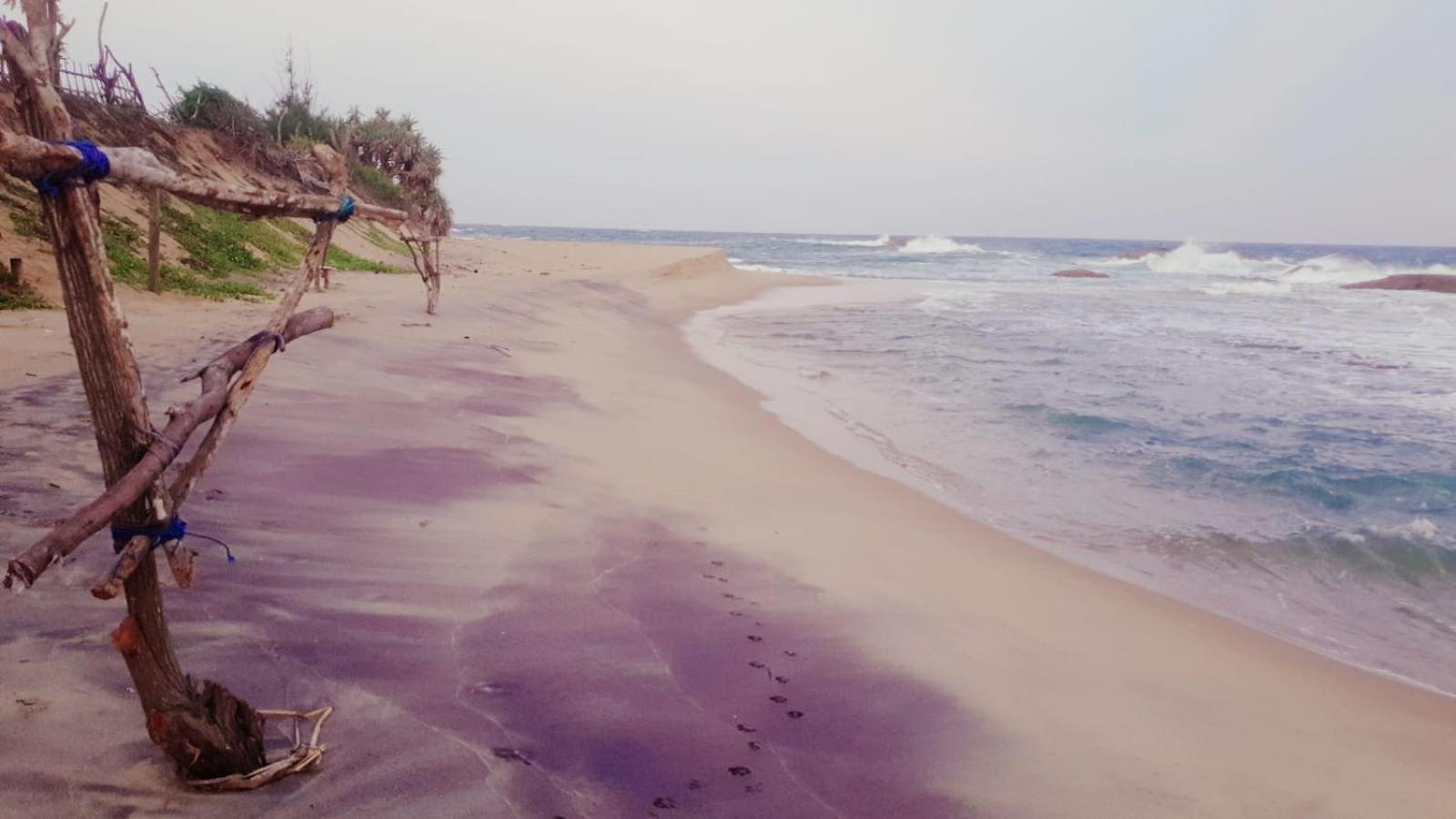 Beach Bungalow Yala 키린다 외부 사진