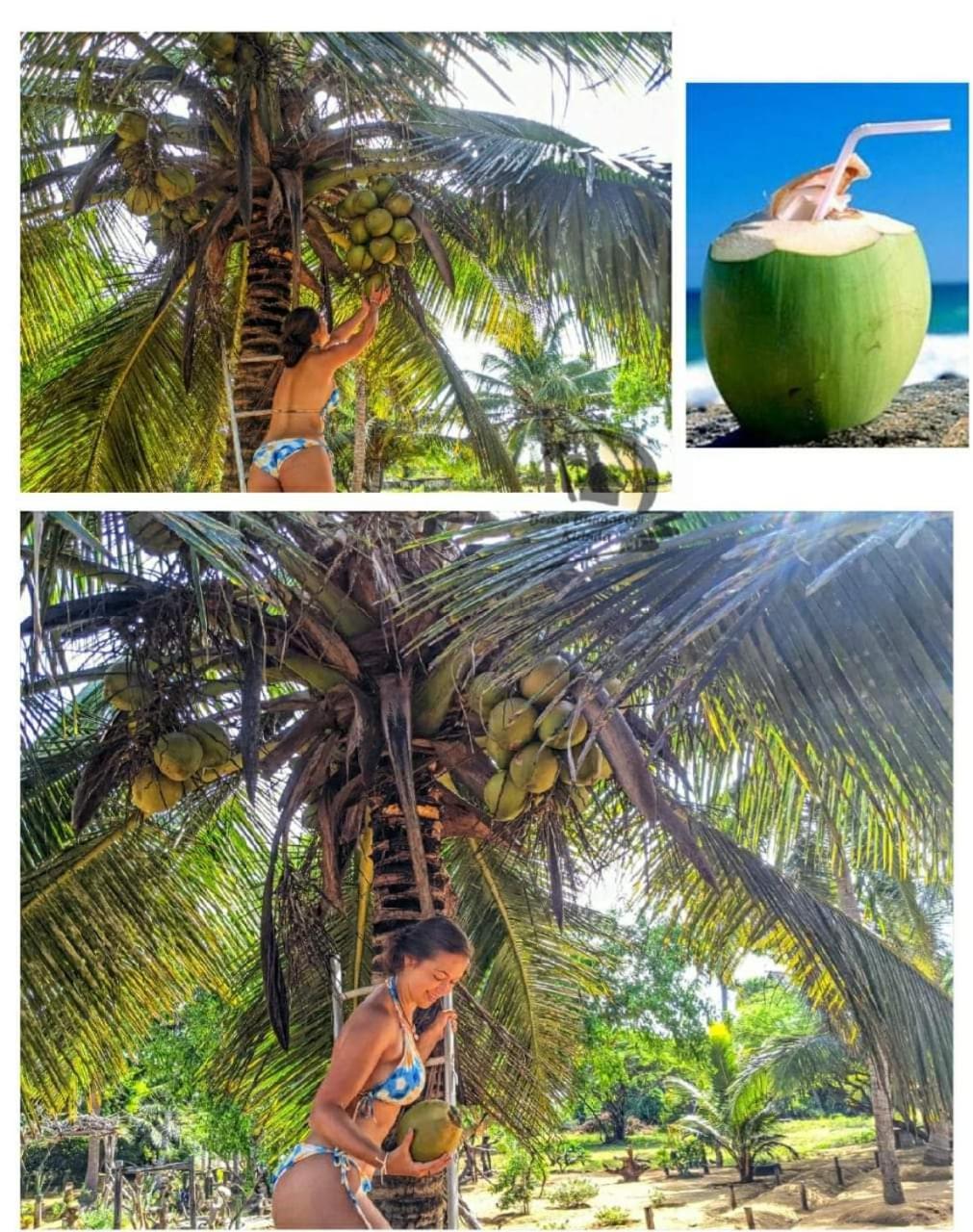 Beach Bungalow Yala 키린다 외부 사진